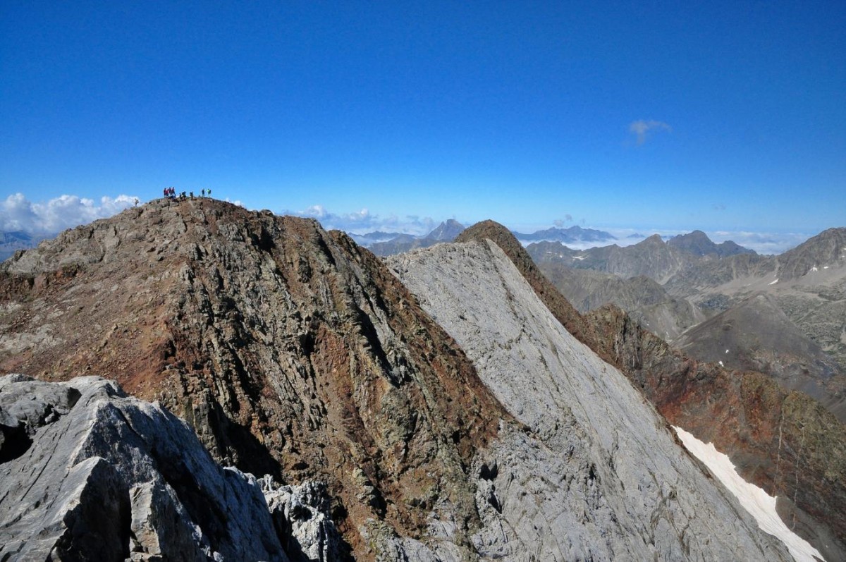 image_1